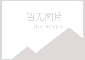 香港夏岚公益组织有限公司